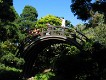  Chinese Garden, Golden Gate Park, San Francisco