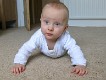  Eight months - still learning to crawl